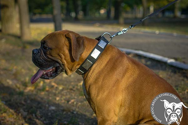 Water resistant nylon Boxer collar