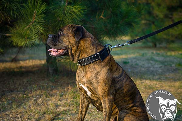 Water resistant nylon Boxer collar