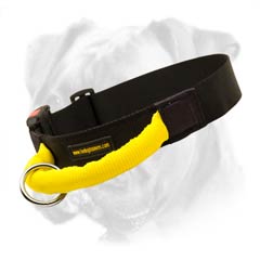 All-weather variant collar