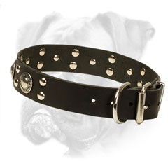 Fashionable Boxer Leather Collar Safe Buckle