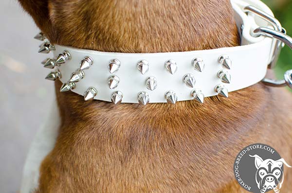 White leather Boxer collar with spikes