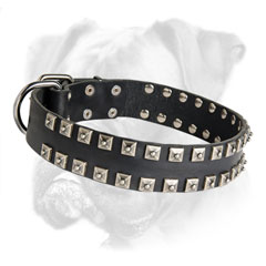 Everyday use wide comfortable leather Boxer collar