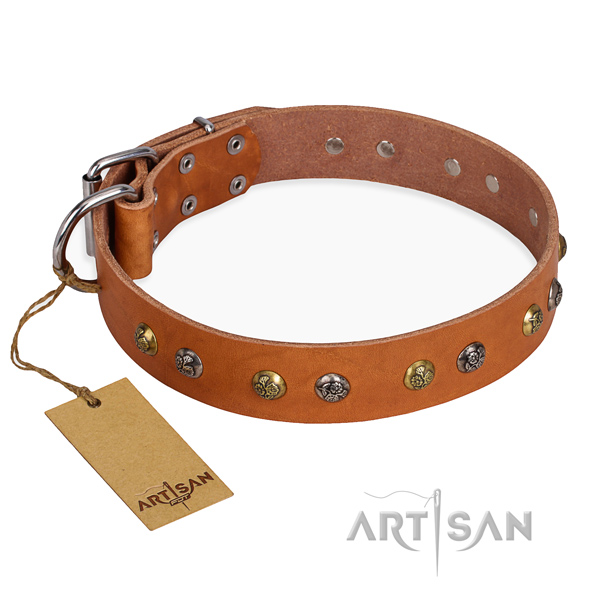 Basic training easy adjustable dog collar with strong hardware