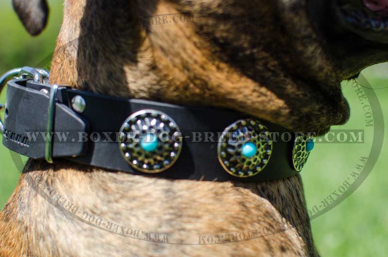 Get Leather Dog Collar, Blue Decorative Stones