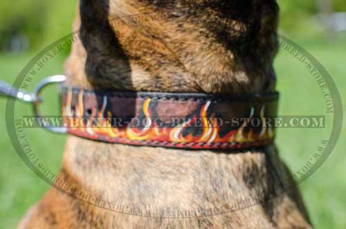 The most comfortable collar