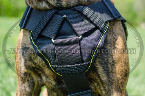 Incrideble nylon harness