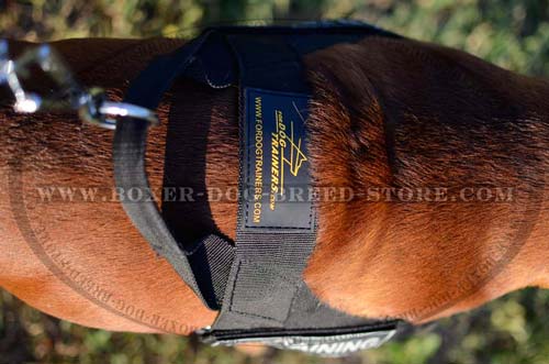 Boxer maxi-comfort nylon harness