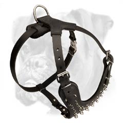 Excellent quality leather harness