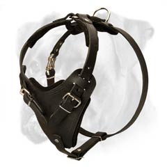 Genuine leather harness for Boxer