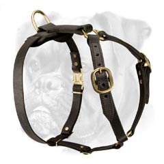 High quality full grain leather harness