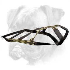 Excellent ventilation Boxer harness