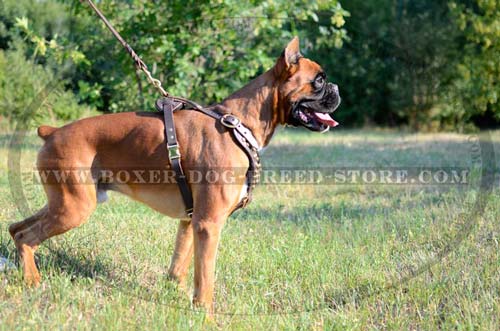 100% full grain leather harness