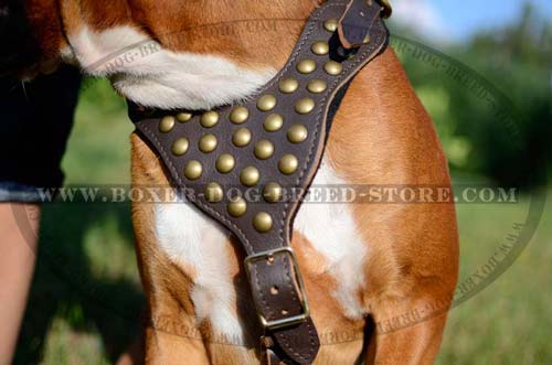 Excellent high quality leather studded harness