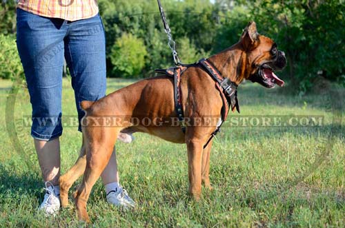 Super quality leather harness