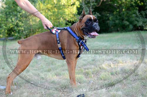 Felt Padded and made of natural materials harness