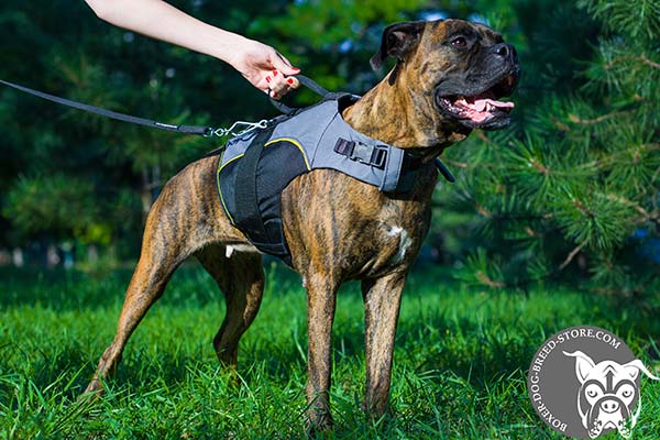 Nylon Boxer vest with comfortable handle