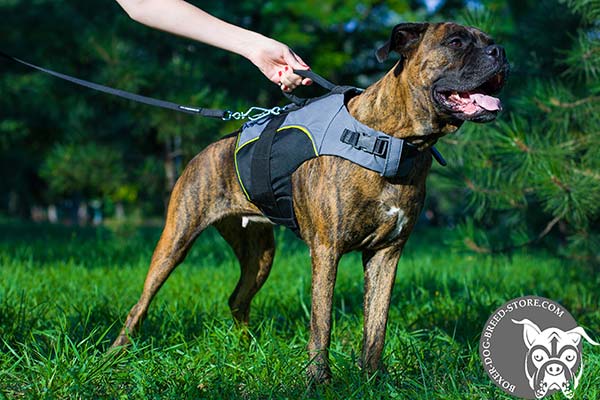 Warm nylon Boxer vest