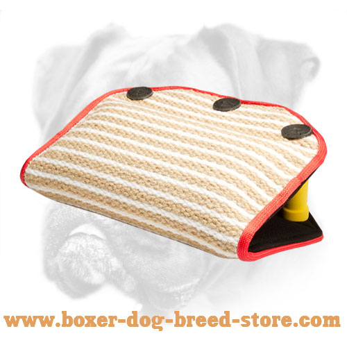 Boxer Bite Builder for Puppies and Young Dogs