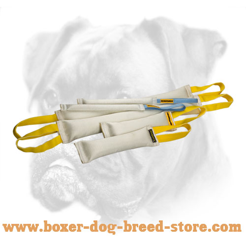 Boxer Fire Hose Bite Tugs -Training Set