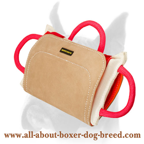 Professional Dog Bite Pad for Boxer