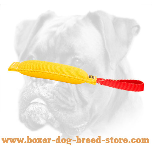 Dog-Friendly French Linen Boxer Bite Tug for Bite Work
