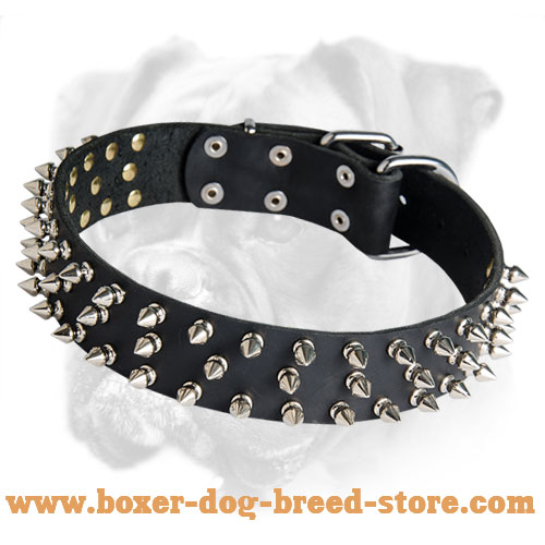Leather Spiked Dog Collar