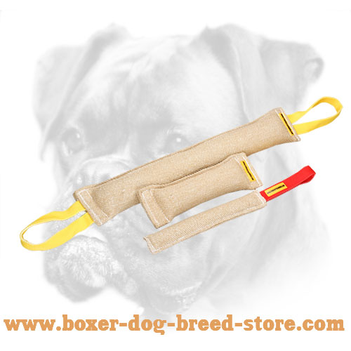 Excellent Set of Bite Tugs for Training Boxer