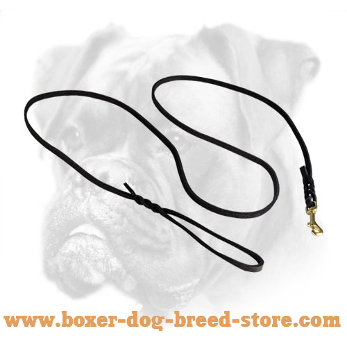 K9 Sport Leash-3/8'' Leather Dog Leash for Boxer