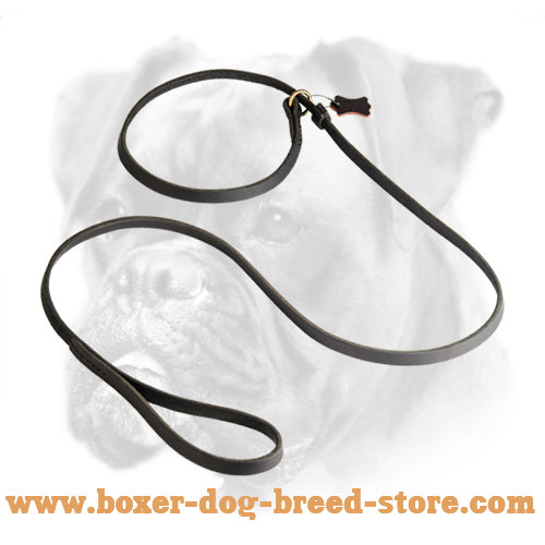 Leather Slip Lead 6 FT on 1/2'' for Boxer