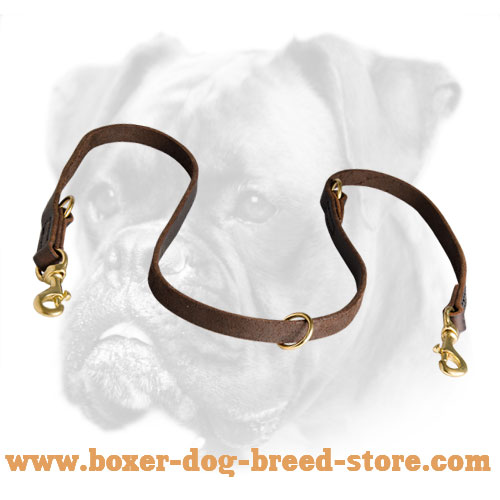 Classic Training Leather Dog Leash for Boxer