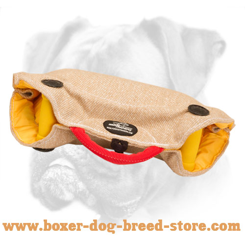 Puppy and Young Dog Bite Builder