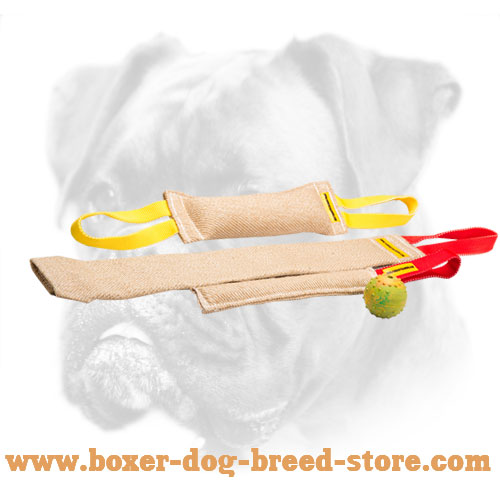 Boxer Puppy Training Set for Efficient Training