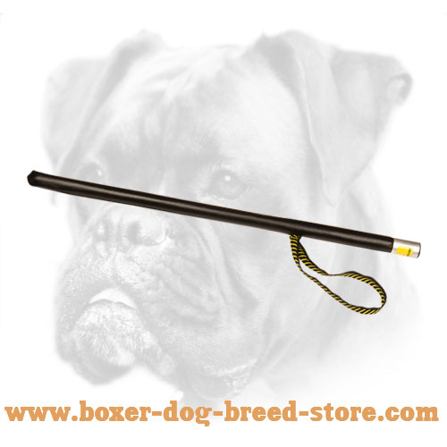 Boxer Stick for Agitation Training with Loop