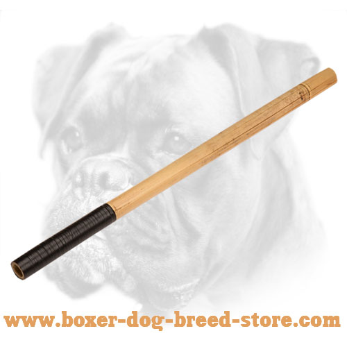 Bamboo Stick for Making Noise for Boxer Training : Boxer Breed: Dog  harness, Boxer dog muzzle, Boxer dog collar