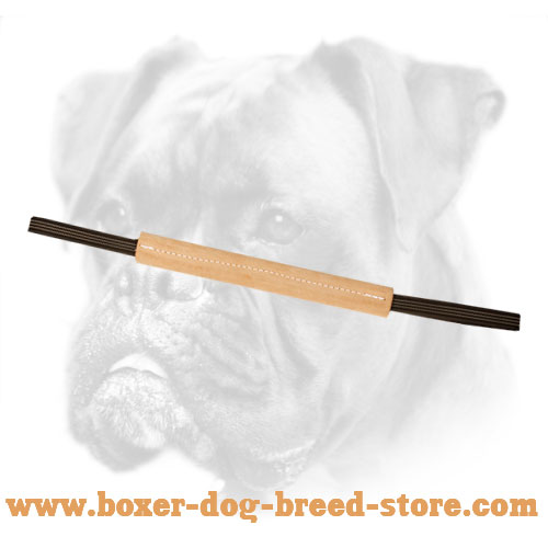 Compact Pocket Leather Tug For Training Boxer Puppies