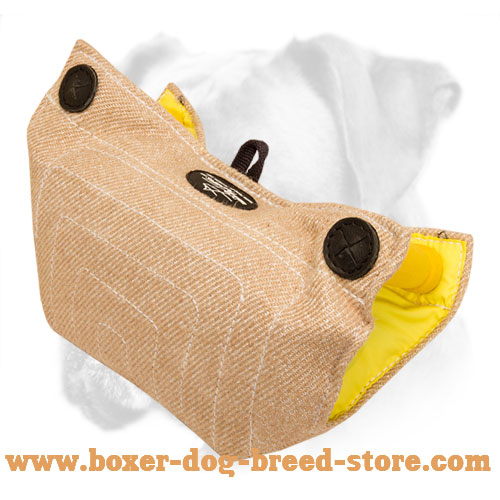 Training Dog Bite Developer with Inset Padded Handles