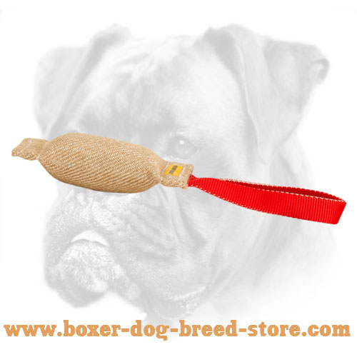 Jute Puppy Bite Tug with One Handle for Boxer Puppies
