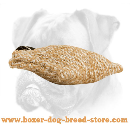 Boxer Bite Puppy Tug for Training and Playtime