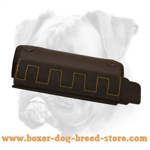 New Revolutionary Puppy and Young Boxer Bite X-Builder