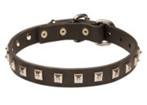 Leather Boxer Collar with One Row of Nickel Studs