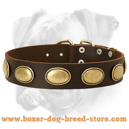 Deluxe Leather Collar Adorned with Vintage Oval Plates