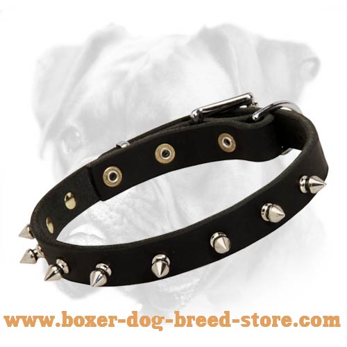 Glorious Leather Collar with Attractive Spikes