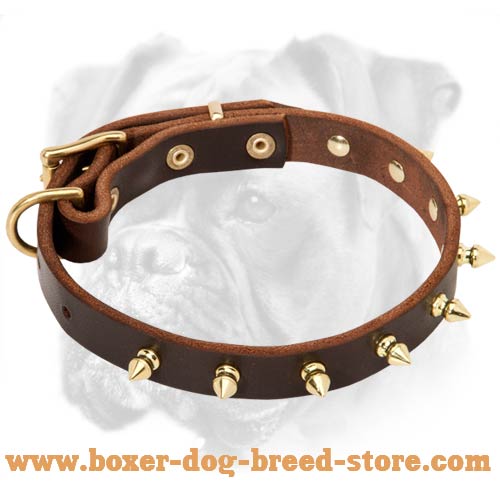 Tremendous Leather Boxer Collar with Brass Spikes for Everyday Use