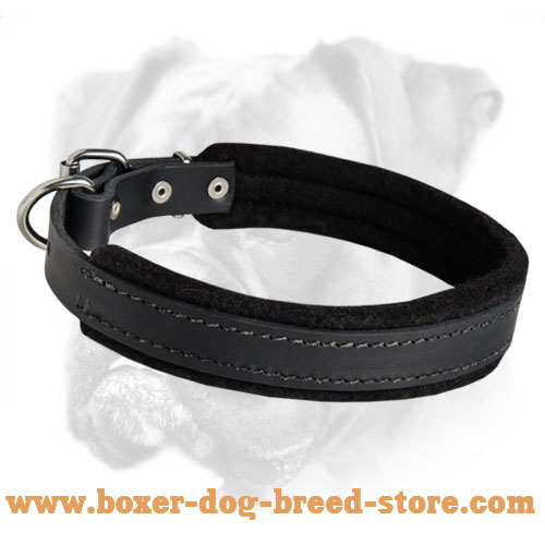 Leather Collar with Thick Soft Padding for Boxer