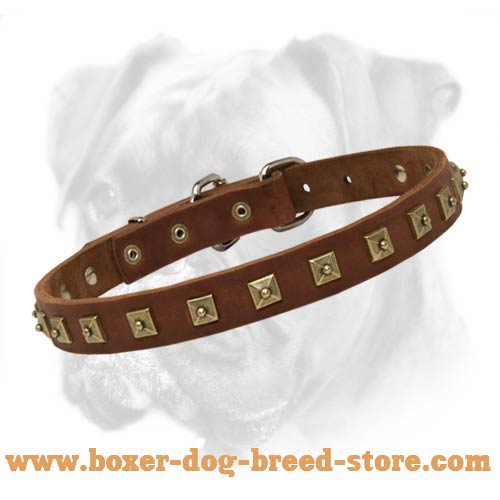 Boxer Leather Collar with Square Studs