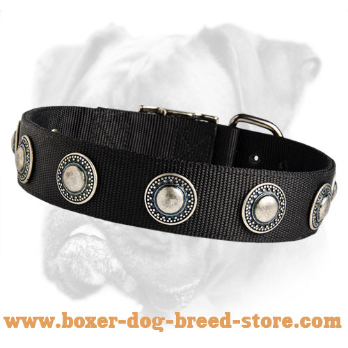 Deluxe Nylon Boxer Collar with Silver Conchos