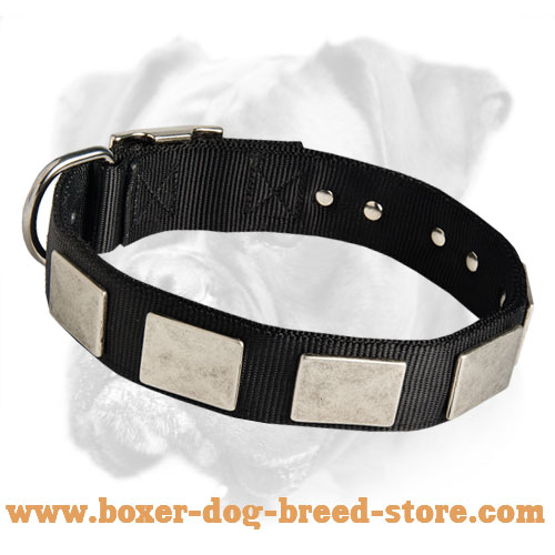 Handmade Nylon Boxer Collar with Massive Plates