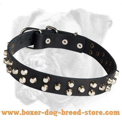 Exclusively Designed Boxer Leather Collar
