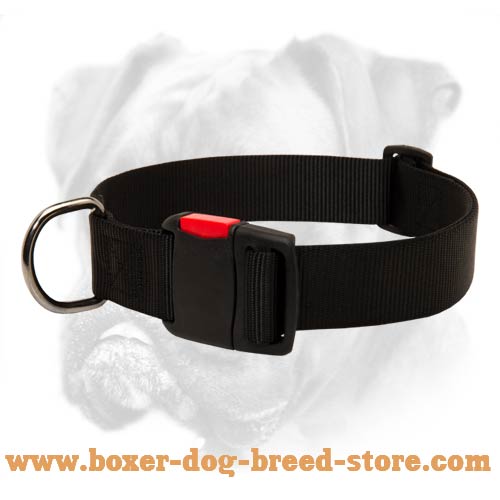 best collar for boxer