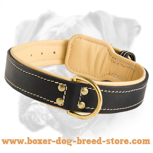 Royal Nappa Padded Hand Made Leather Dog Collar